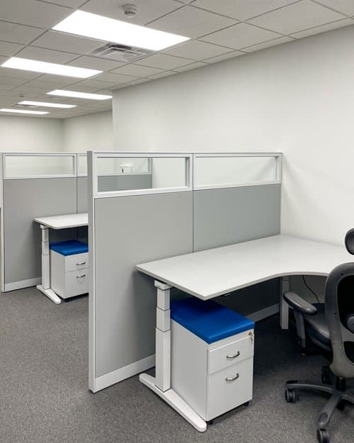 Cubicles separated by dividers